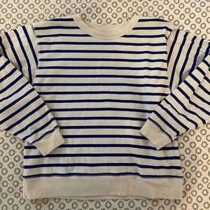 Entireworld Cropped Sweatshirt in Blue / White Stripe